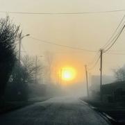 Saint-Sauveur-le-Vicomte 15/04/2019