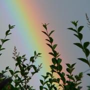 Vallon-en-Sully 14/04/2010