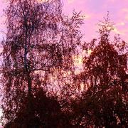 Vallon-en-Sully 14/04/2010