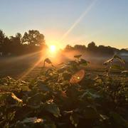 Saint-Congard 19/05/2019