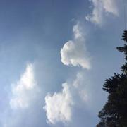 Saint-André-des-Eaux 21/05/2019