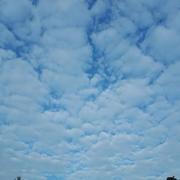 Fontaine-le-Bourg 25/05/2019