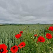 Saint-Léger-lès-Domart 30/05/2019