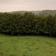 Saint-Michel 05/06/2019