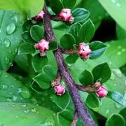 Vétrigne 06/06/2019