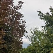 Janzé 06/06/2019