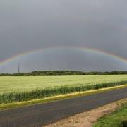 Huisseau-sur-Mauves 07/06/2019