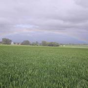 Neuville-Vitasse 08/06/2019