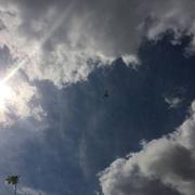 Saint-Dolay 10/06/2019