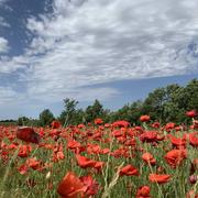Saint-Laurent-du-Verdon 10/06/2019