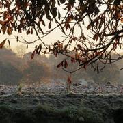 Pommerit-le-Vicomte 12/06/2019