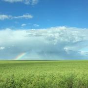 Chaumont-en-Vexin 12/06/2019