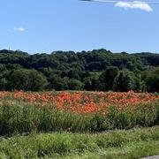 Rougemontot 13/06/2019