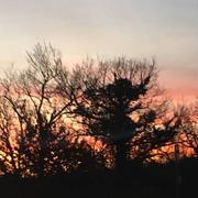 Saint-Philbert-de-Grand-Lieu 14/06/2019