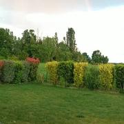 Lusigny-sur-Barse 15/06/2019