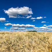 Magnicourt-en-Comte 22/06/2019