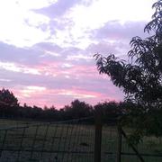 Mouchamps 26/06/2019