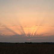 Annay-sur-Serein 01/07/2019