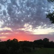 Hinsingen 01/07/2019