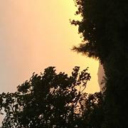 Auberives-sur-Varèze 02/07/2019