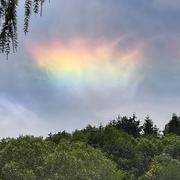 Wangenbourg-Engenthal 06/07/2019