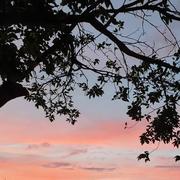 Paris-l'Hôpital 09/07/2019