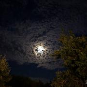 Bernienville 11/07/2019