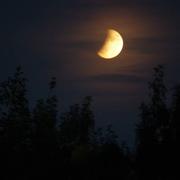 La Boissière-de-Montaigu 17/07/2019