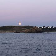 Île-d'Houat 17/07/2019