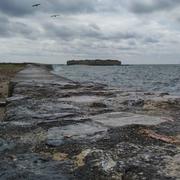 Saint-Vaast-la-Hougue 19/07/2019