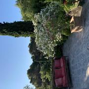 Saint-Rémy-de-Provence 24/07/2019