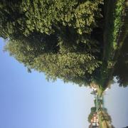 Saint-Amand-les-Eaux 24/07/2019