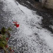 Perrecy-les-Forges 25/07/2019