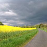 Courcelles-sur-Vesle 26/07/2019