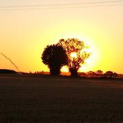 Azay-le-Brûlé 31/07/2019