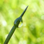 Ville-sur-Tourbe 24/04/2010