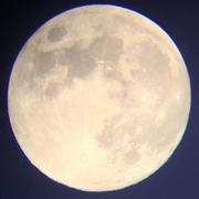 Rouilly-Saint-Loup 01/08/2019