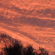 Tréglamus 02/08/2019