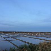 Guérande 02/08/2019