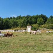 Montseron 03/08/2019