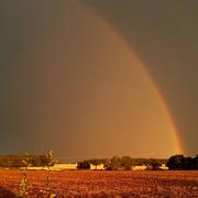 Nérondes 04/08/2019
