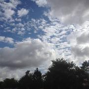 Surgères 07/08/2019