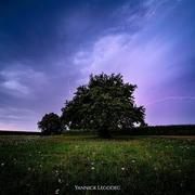 Pontiacq-Viellepinte 08/08/2019