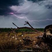 Pontiacq-Viellepinte 08/08/2019