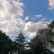 La Guerche-sur-l'Aubois 08/08/2019