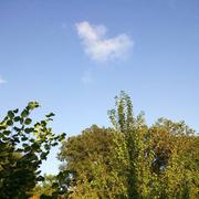 Bourganeuf 11/08/2019