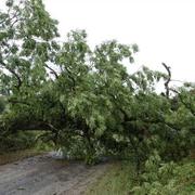 Sermoise-sur-Loire 12/08/2019