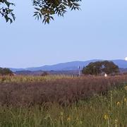 Neuburg am Rhein 14/08/2019