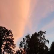 Ectot-l'Auber 15/08/2019