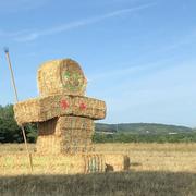 Villeneuve-sur-Yonne 18/08/2019